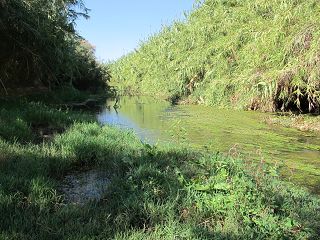 k-IMG_4593.JPG