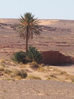 k-IMG_4623.JPG