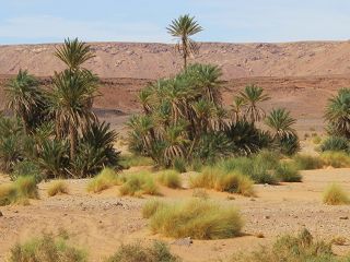 k-IMG_4697.JPG