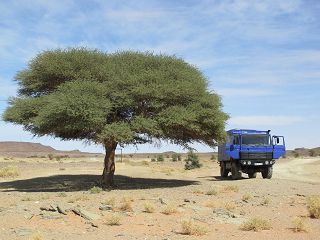 k-IMG_4712.JPG