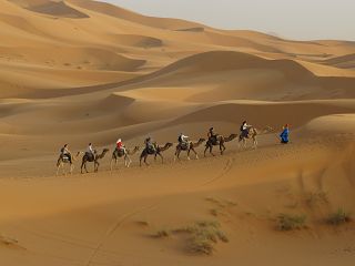 k-IMG_4737.JPG