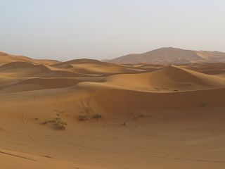 k-IMG_4742.JPG