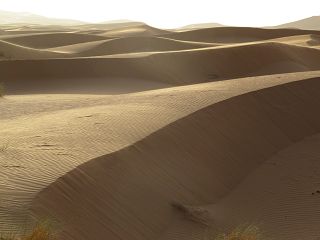 k-IMG_4799.JPG