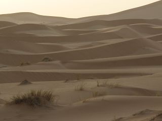 k-IMG_4822.JPG