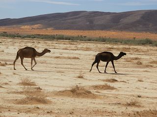 k-IMG_4870.JPG