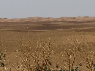 k-IMG_4986.JPG