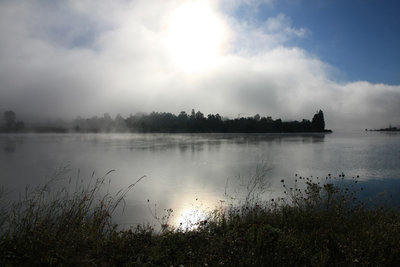 Nebel am Morgen