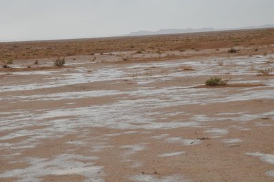 DSC_0102.JPG