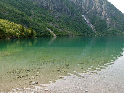 P1120611.jpg