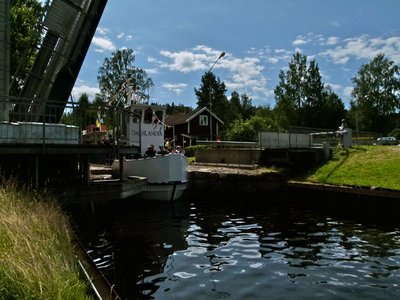 P1130064.jpg