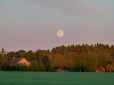 P1130146.jpg