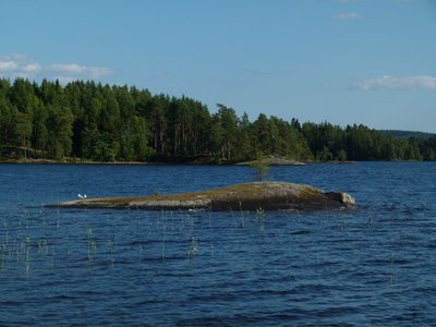 P1120978.jpg
