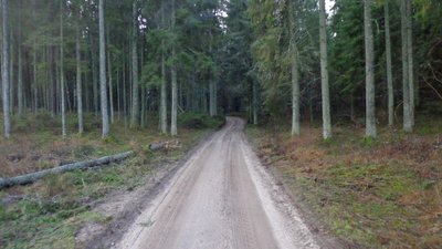 DSC01927 (Large).JPG