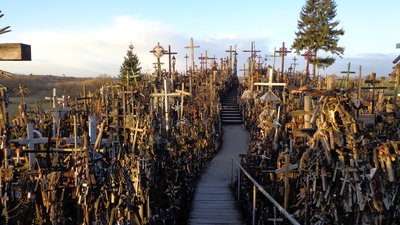 DSC01914 (Large).JPG