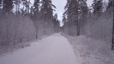 DSC01852 (Large).JPG