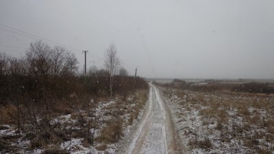 DSC01687 (Large).JPG