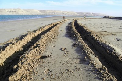 Am Nachmittag kamen 4 Landy´s , 2 aus D und 2 aus der CH , und fragten nach der Piste runter zum Strand und zum Qued Draa . Ich zeigte sie ihnen . Sie fragten noch ob sie das Qued durchfahren können , ich sagte nein ................