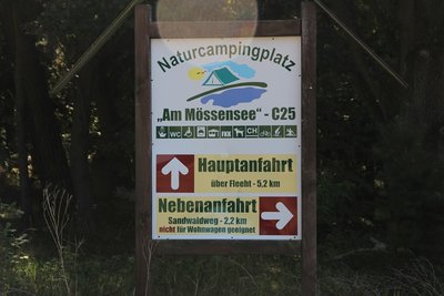 444.JPG