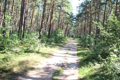 Fahrimpressionen