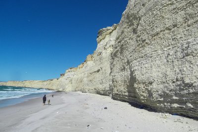 Nachmittags spaziergang .