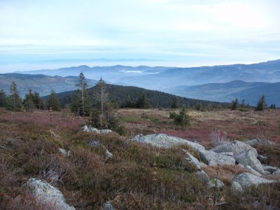 vogesen08.jpg