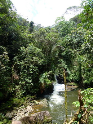 P1070158.JPG