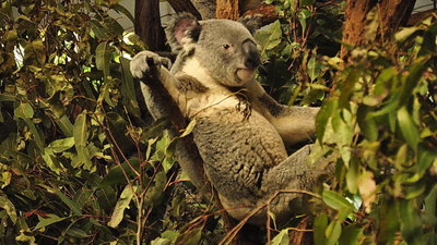 35_DSC0037a.jpg