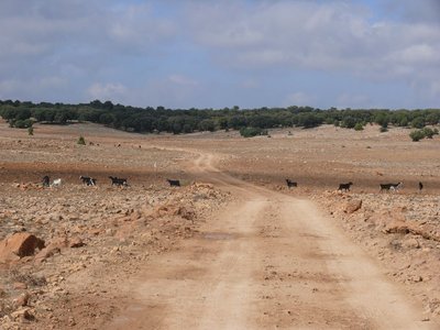 Die Landschaft hat sich wieder völlig verändert. Immer noch vor der N19.