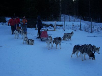 100_1736.jpg
