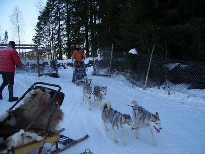 100_1733.jpg