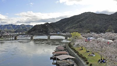 Familien beim Hanami / Picknick