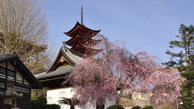 Insel Miyajima - westlich von Hiroshima