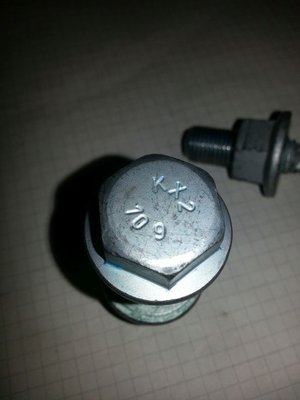 Schraubenkopf
