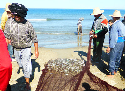 Fischfang nach etwa zweistündiger Gemeinschaftsarbeit von acht Männern