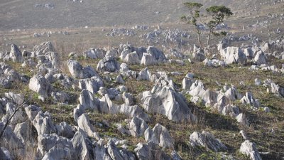 Akiyoshidai Plateau