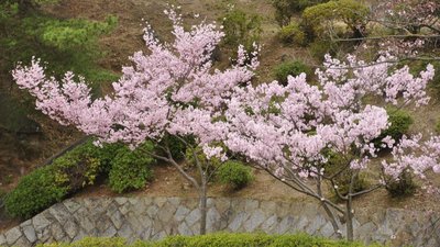 15_DSC0238a.jpg