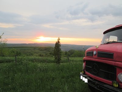 IMG_0054.jpg