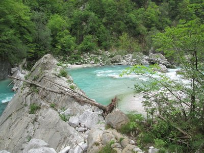 IMG_0203.JPG