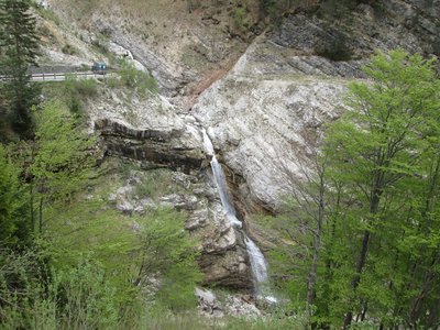 IMG_0256.JPG