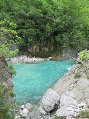 IMG_0202.JPG