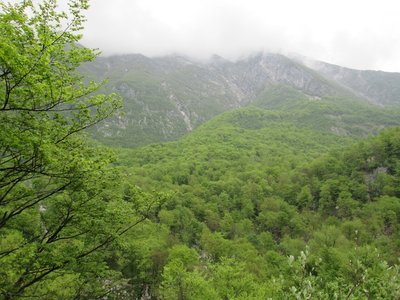 IMG_0198.JPG