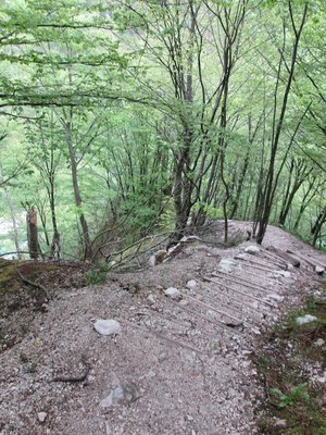 IMG_0194.JPG