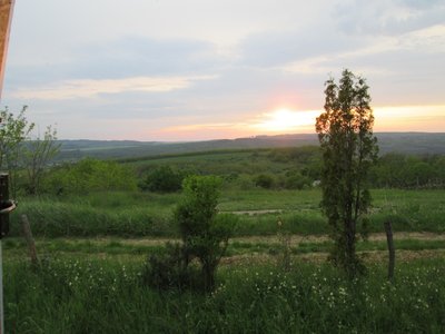 IMG_0053.JPG