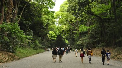 51a_DSC0265a.jpg