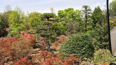 55_DSC0811a.jpg
