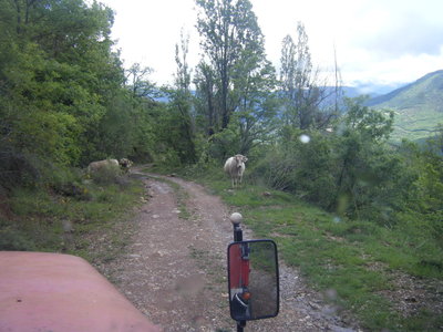2013 magirus pyreneeen 081.JPG