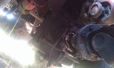 IMAG1053li.jpg