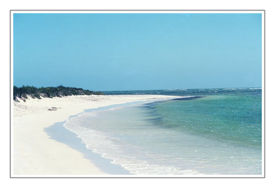 Westaustralien - Shell Beach.png