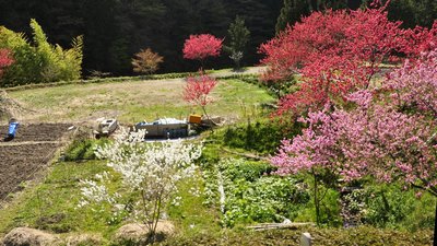 65_DSC1132a.jpg