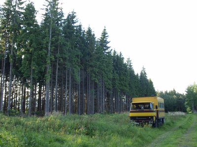 Stellplatz im Wald